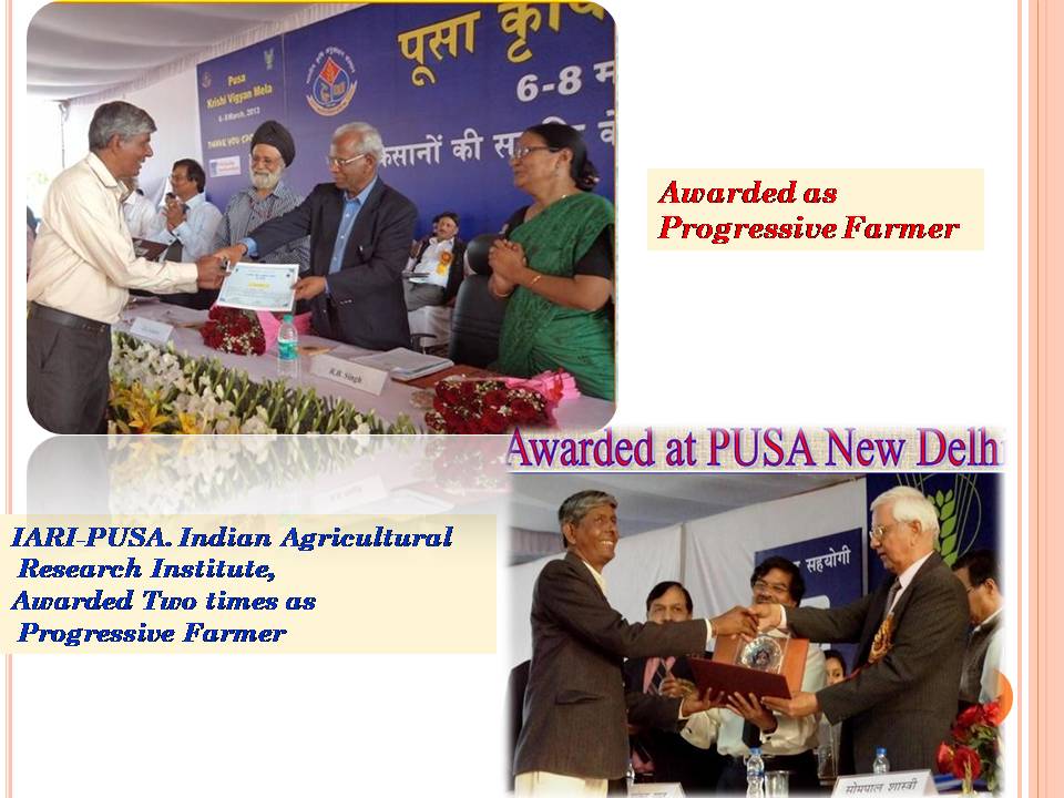 State award