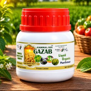 kamaal 505 gazab